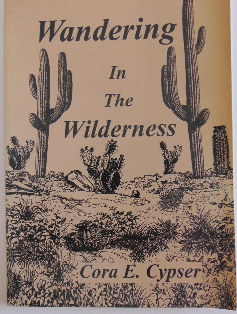 Wandering In the Wilderness (1 of 1)