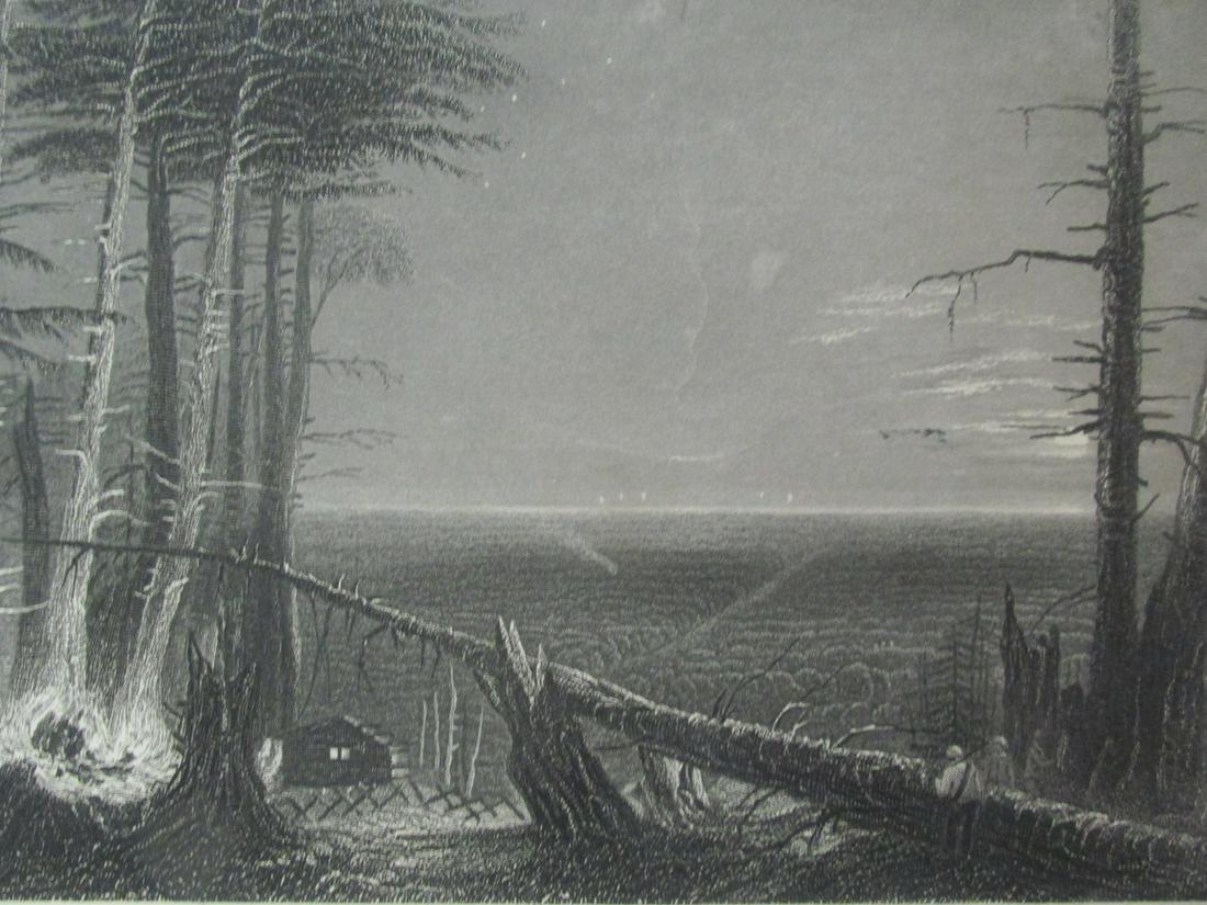 A Forest On Lake Ontario (1 of 3)