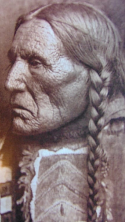 No Bear (Tseniwasin) (1 of 4)