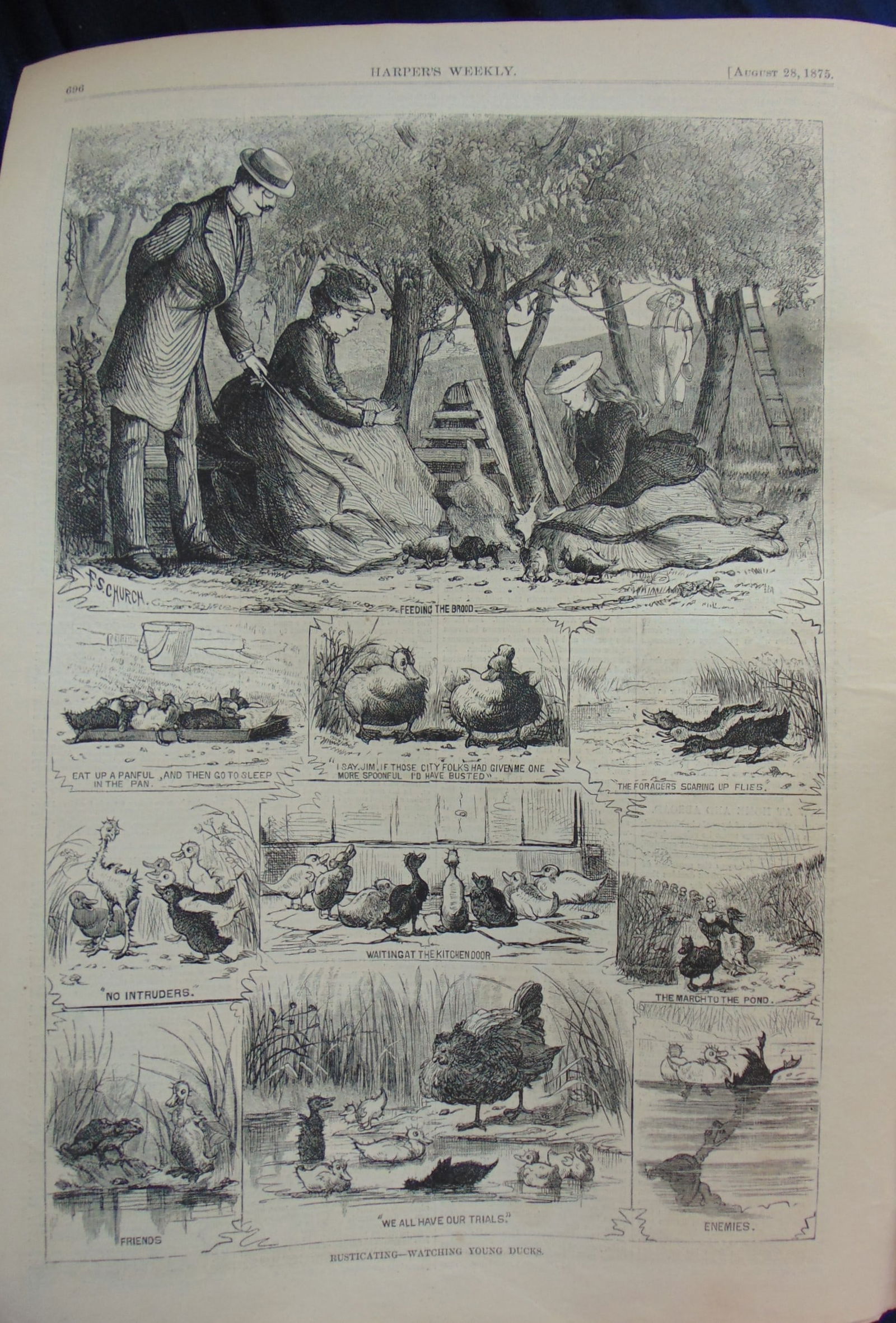 Harpers Weekly - Rusticating - Watching Ducks: Harper's Weekly - Watching Young DucksA heartfelt illustration of ducks first seen in a park. F.S. Church, the pen name of Frederick Stuart Church, was a prominent American illustrator renowned for hi