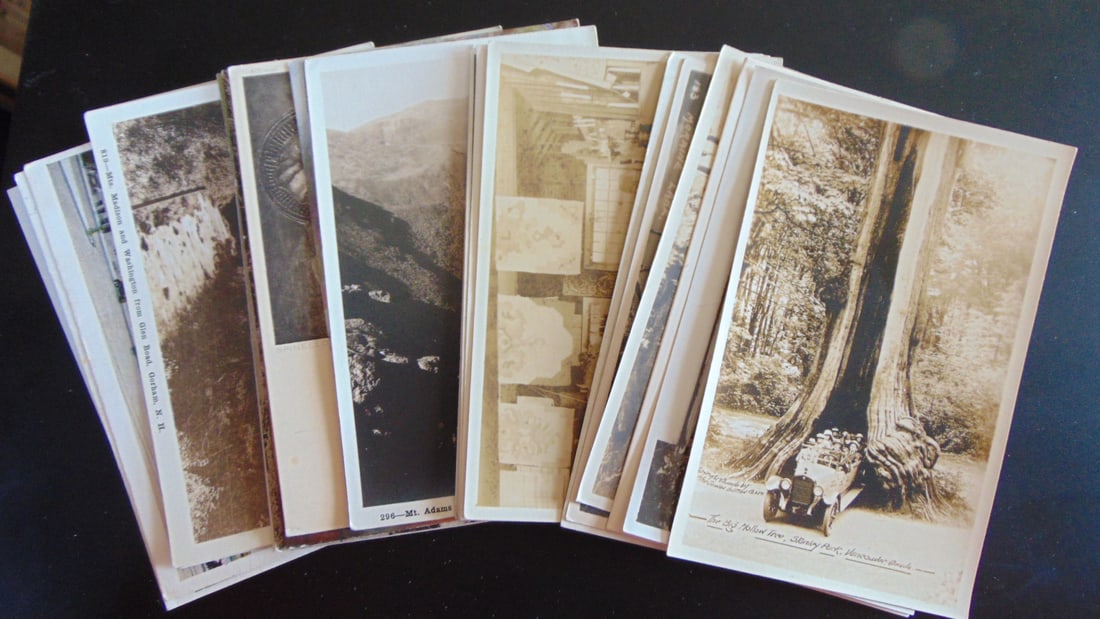Lot of Assorted Postcards: Lot of 30 assorted Postcards Includes The Big Hollow, Stanley Park, Vancouver Canada Made in Canada by the Gowen Sutton Co. Ltd - Vancouver B.C. - Incorporated on March 17, 1920, th