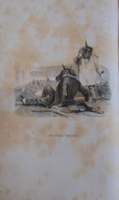 The Two Mules