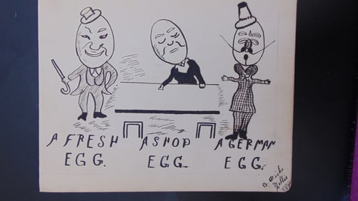 A Fresh Egg - A Shop Egg - A German Egg
