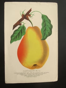 Clapp's Beauty Pears - Stecher Lithograph Company