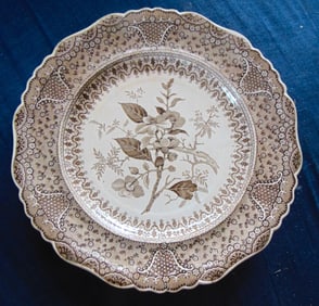 Staffordshire Asiatic Plants Plate C1830
