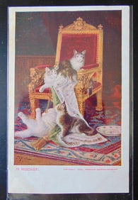 Group of Postcards of Cats