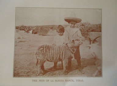 Pets of La Sandia Ranch, Texas