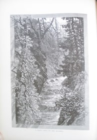A Trout Pool on the Saugeen - Canada