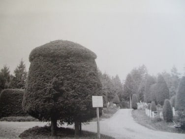 View In Laurel Cemetery - Port Jervis New York
