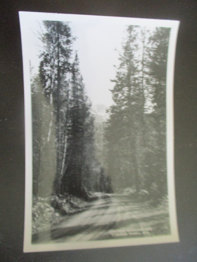 Cody Road to Yellowstone - Albert G. Lucier: Cody Road to Yellowstone Wyoming. Signed and titled in photograph - Lucier, Powell, Wyo. Photographer: Albert G. Lucier 1877 - 1962 Signed: In photograph