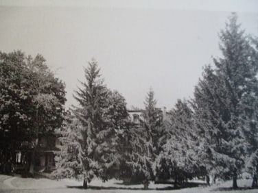 View In The Haight Place - Goshen  New York