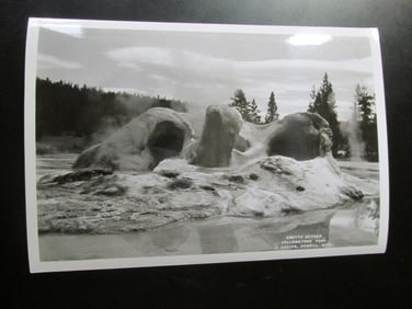 Grotto Geyser - Yellowstone -  Albert G. Lucier