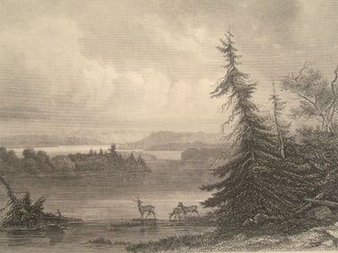 Itasca Lake - Source of the Mississippi