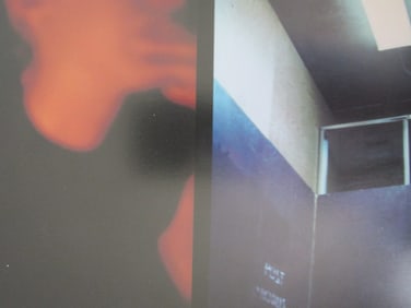 Untitled - Nicole Ungier