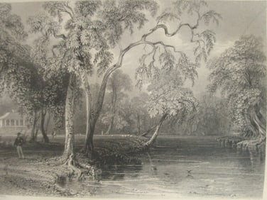 View From Glenmary Lawn - Residence of N P Willis