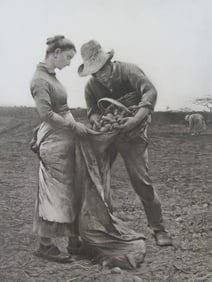 October Potato Gathering - Auguste Hagborg