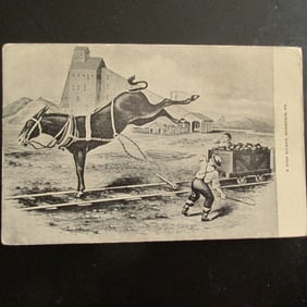 A High Kicker Shamokin, PA  - Coal Cart & Donkey