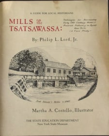Mills on the Tsatsawassa (New York)