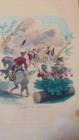 Defeat of Braddock - French and Indian War