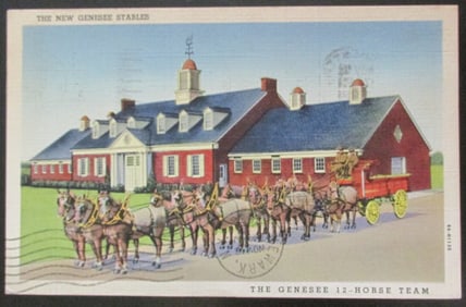 The New Genesee Stables - Horse Team