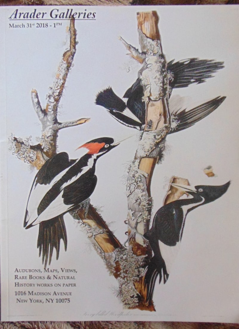 Audubon Natural History Maps - Arader Galleries (1 of 1)