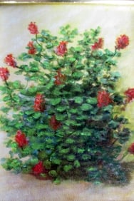 To The Roses