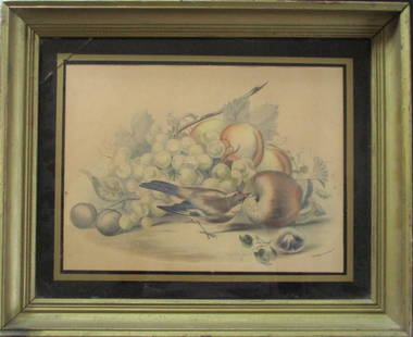 Ornithological - Paul Jerrard: Bird with Grapes & Apples ?glomis? Glass. Artist: Paul Jerrard Print Type: Hand Colored Stone lithograph Signed: l/r in plate Date: Circa 18
