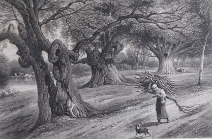 At Burnham Beeches