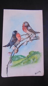 Birds of a Feather