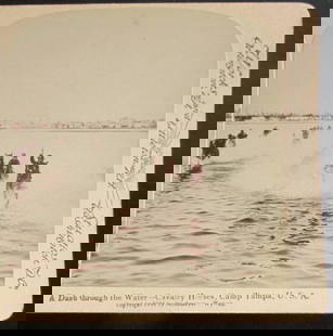 Cavalry Horses - Camp Tampa Florida: A Dash Through The Water - Cavalry Horses - Camp Tampa Florida A rare view. Theodore Roosevelt's Rough Riders Spanish American War In usually Fine Condition Dated: 1898 Subject: Spanish American