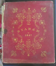 The Deadem 1847