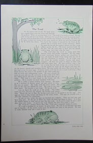 The Toad