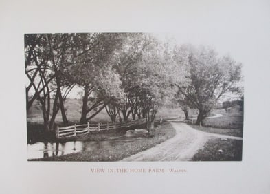 View In The Home Farm - Walden NY 1893