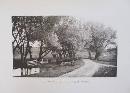 View In The Home Farm - Walden NY 1893: View In The Home Farm, Walden, New York Extremely Rare Photographer: W. H. Parish Dated: 1893 Medium: Photomechanical Dimensions: 10 1/2 x 6" Provenance: