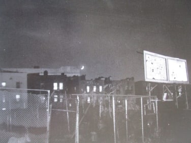 The Fence - Emma Wilcox