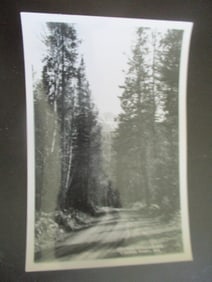 Cody Road to Yellowstone - Albert G. Lucier