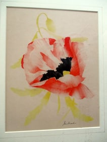 Red Poppy - Gnilrad - American School