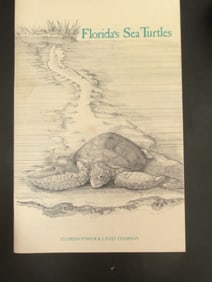 Florida Sea Turtle