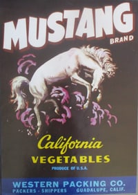 Mustang  - California Advertising