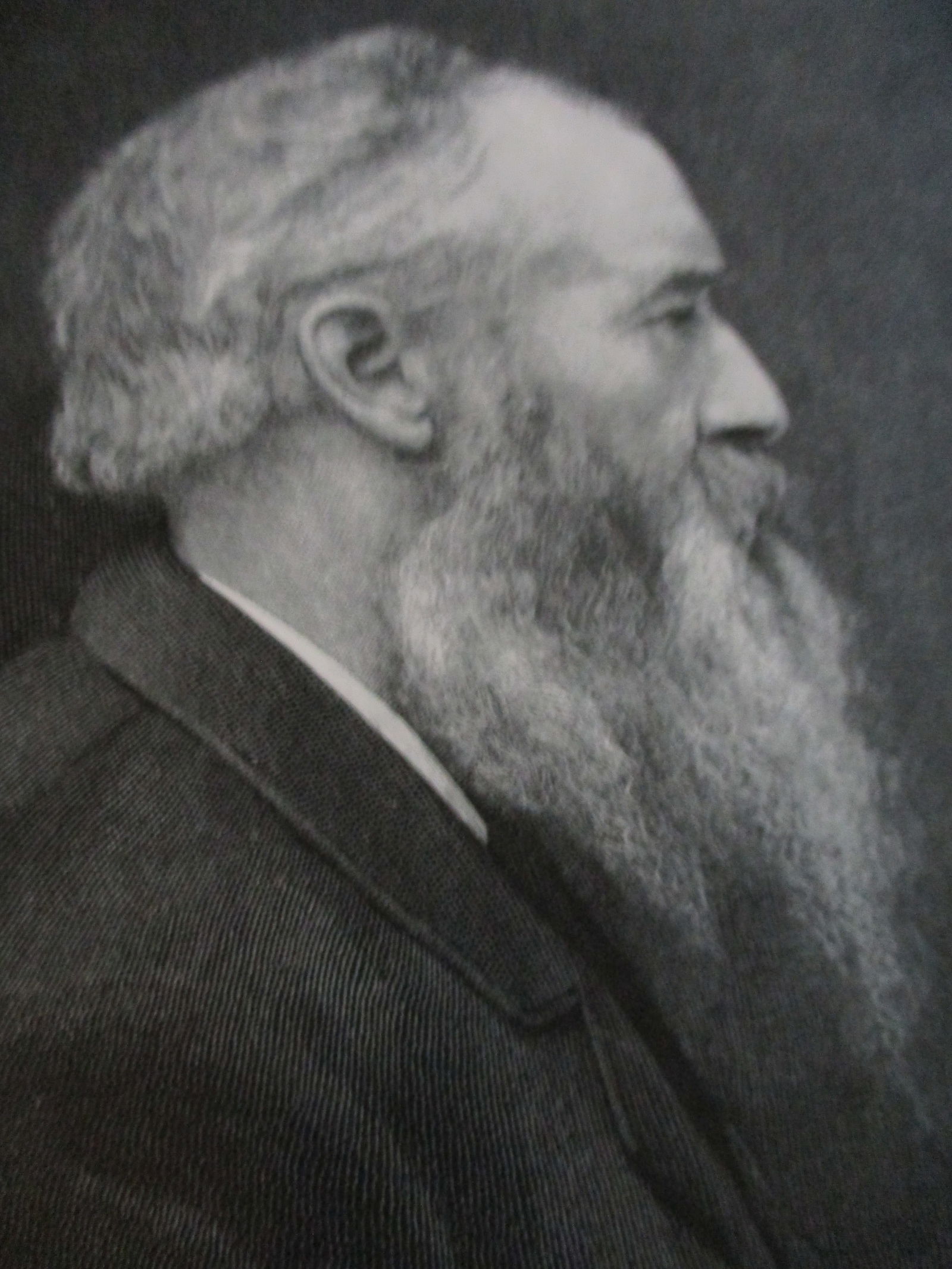 Portrait of John Burroughs: Portrait of John Burroughs 19th century Artist: After an etching by T. Johnson Date: 1897 Publisher: Century Origin: American Dime