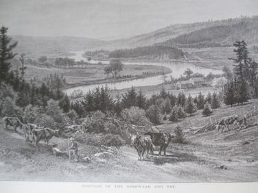 Junction of the Nashwaak and Tay - Canada