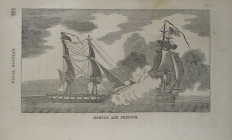 Hornet and Penguin - Naval Battles