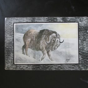 Musk Ox
