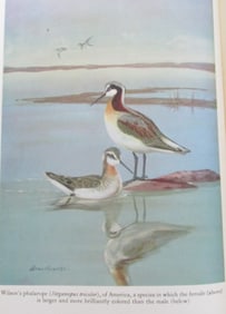 Warm Blooded Vertebrates - Red Leather Bound