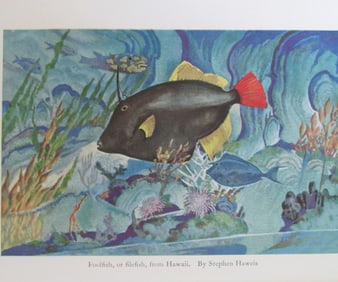 Cold Blooded Vertebrates - Red Leather Bound