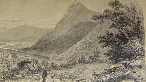 View In The Shenandoah Valley ( Civil War)