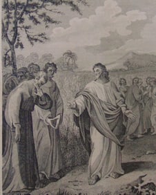 Jesus In The Corn Field Reproving the Pharisees