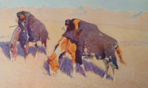 Remington - Indians Stimulating Buffalo 1909