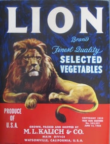 Lion - California Advertising
