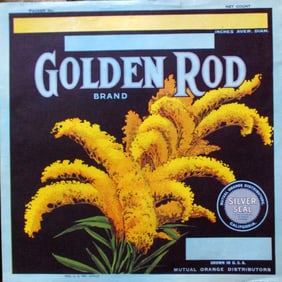 Golden Rod Oranges - California Advertising
